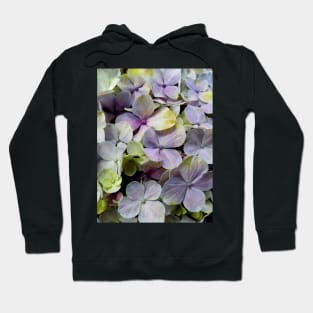 Hydrangea flower macro pattern Hoodie